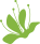 Zhejiang Raffia Paper Products Co., Ltd.